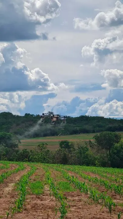 Pulverização aérea com drones